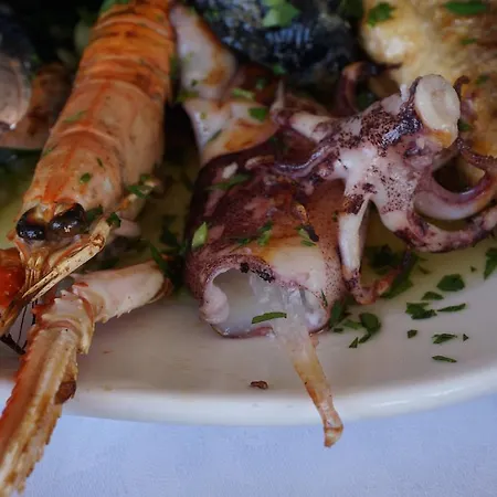 Mobilehome - Dalmacija Camp Parque de vacaciones *